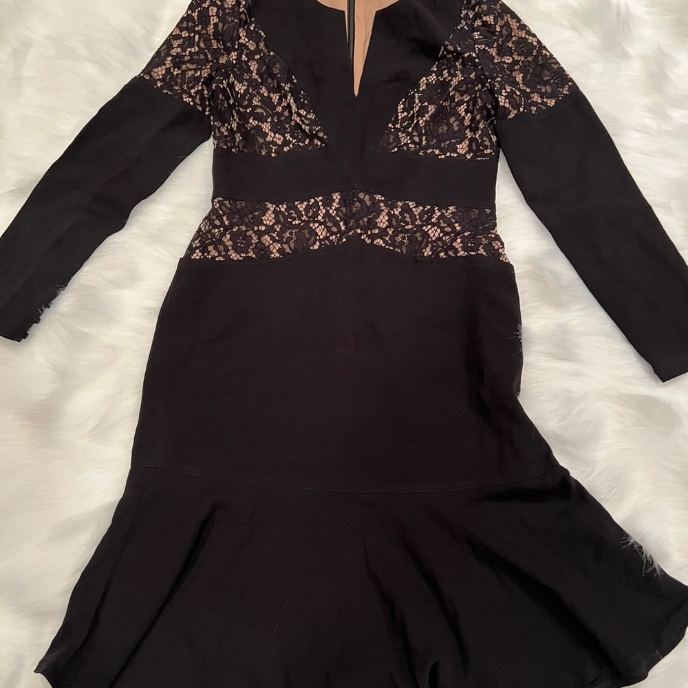 Bcbgmaxazria size 10 long sleeve dress